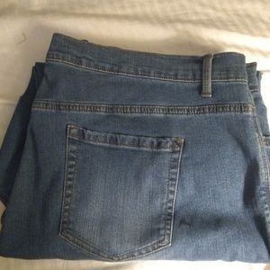 Gloria Vanderbilt Amanda 22